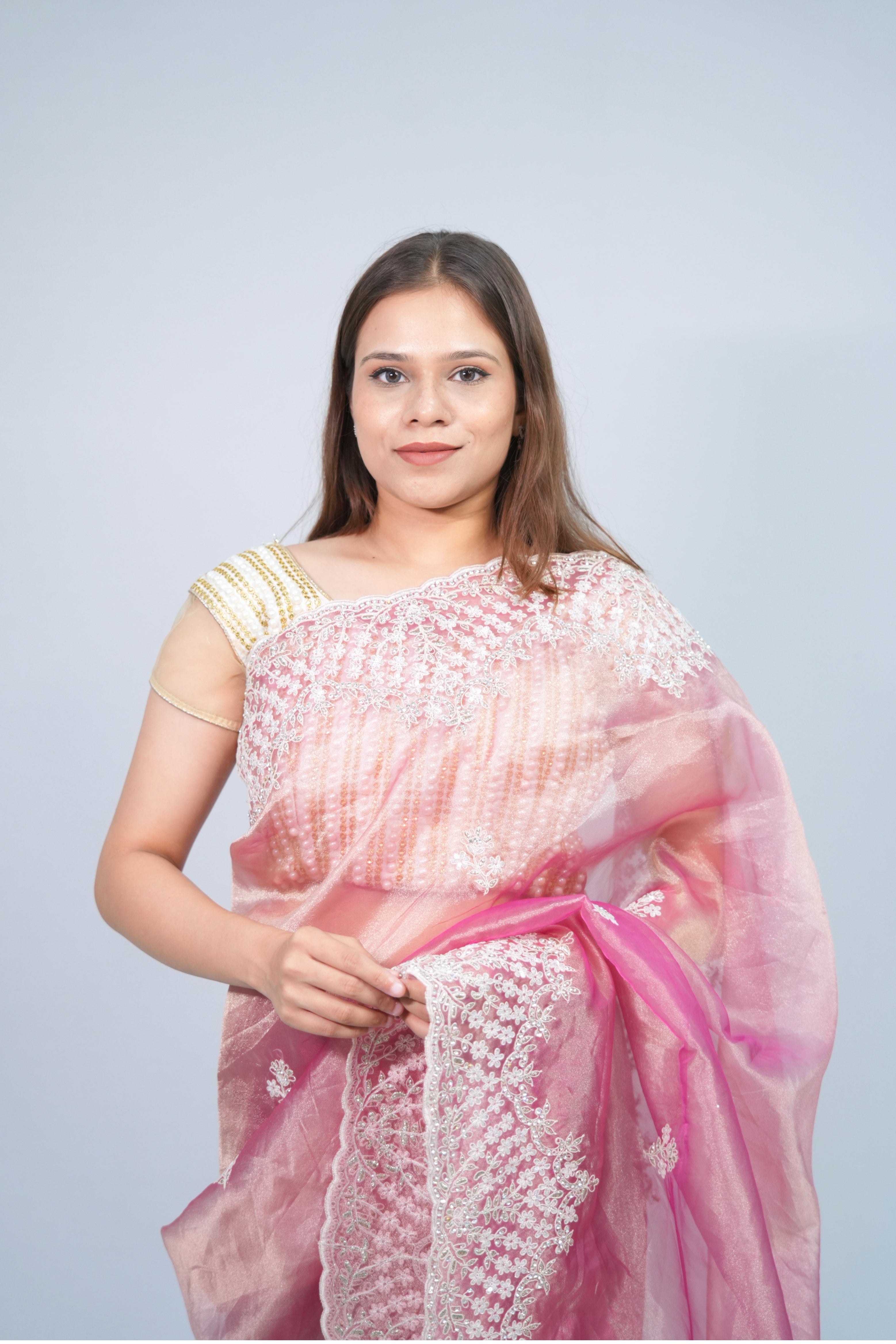 Tissue embroidery saree