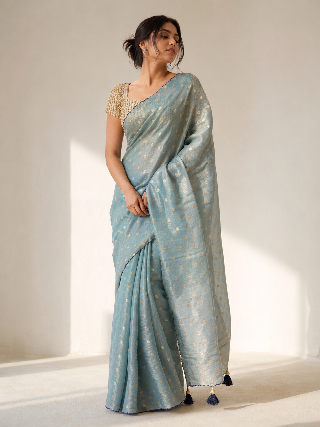 Tissue Silk Saree