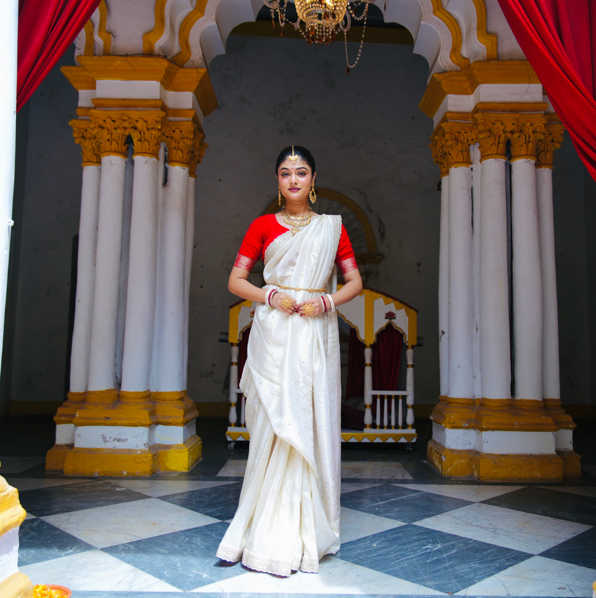 TISSUE SILK SAREE