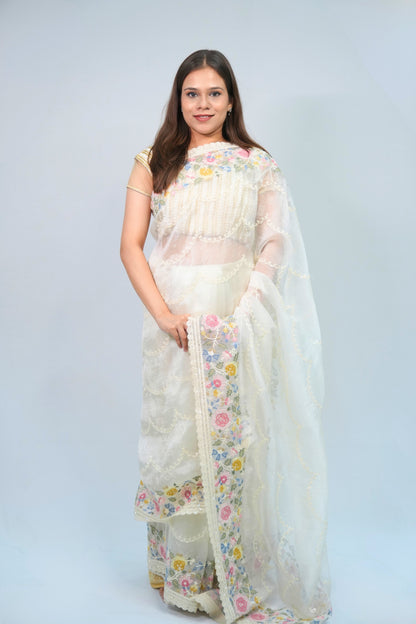 Tissue embroidery saree