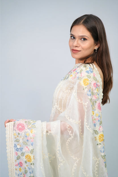 Tissue embroidery saree
