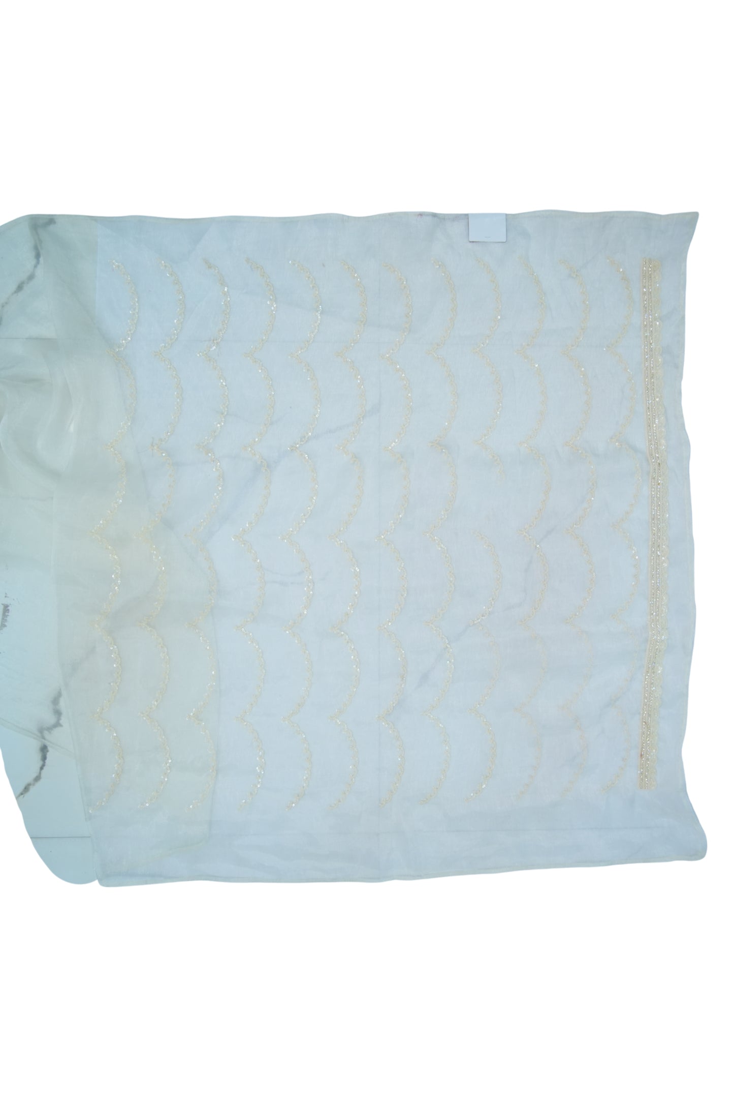 Tissue embroidery saree