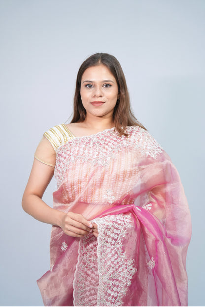 Tissue embroidery saree