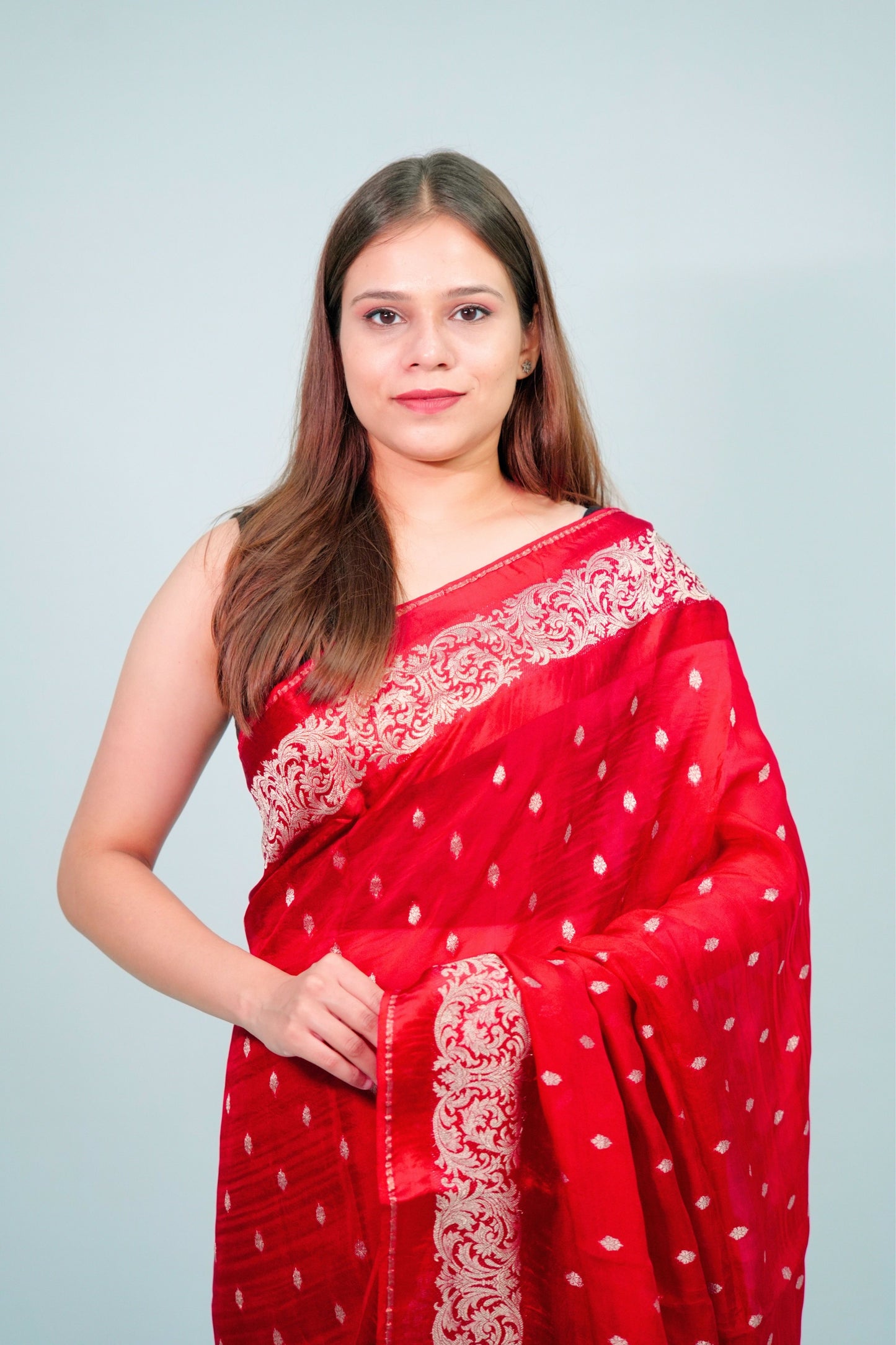 Banarsi Organza Saree