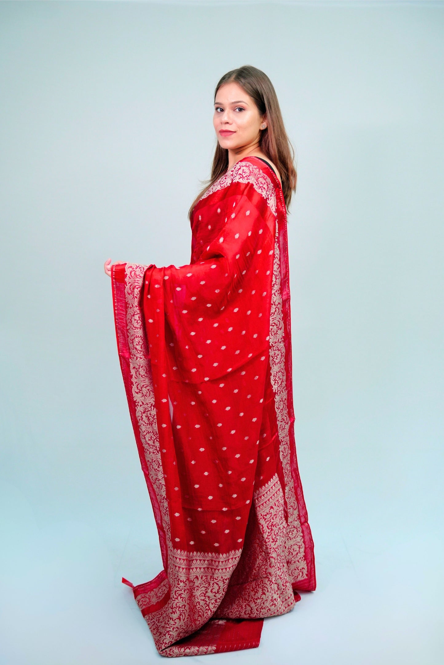 Banarsi Organza Saree