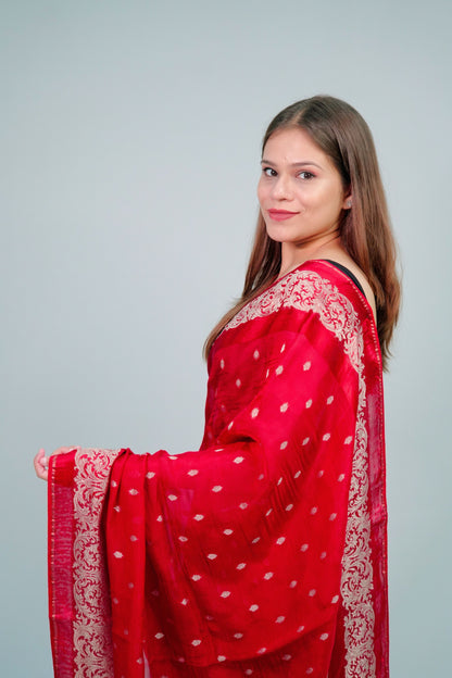 Banarsi Organza Saree