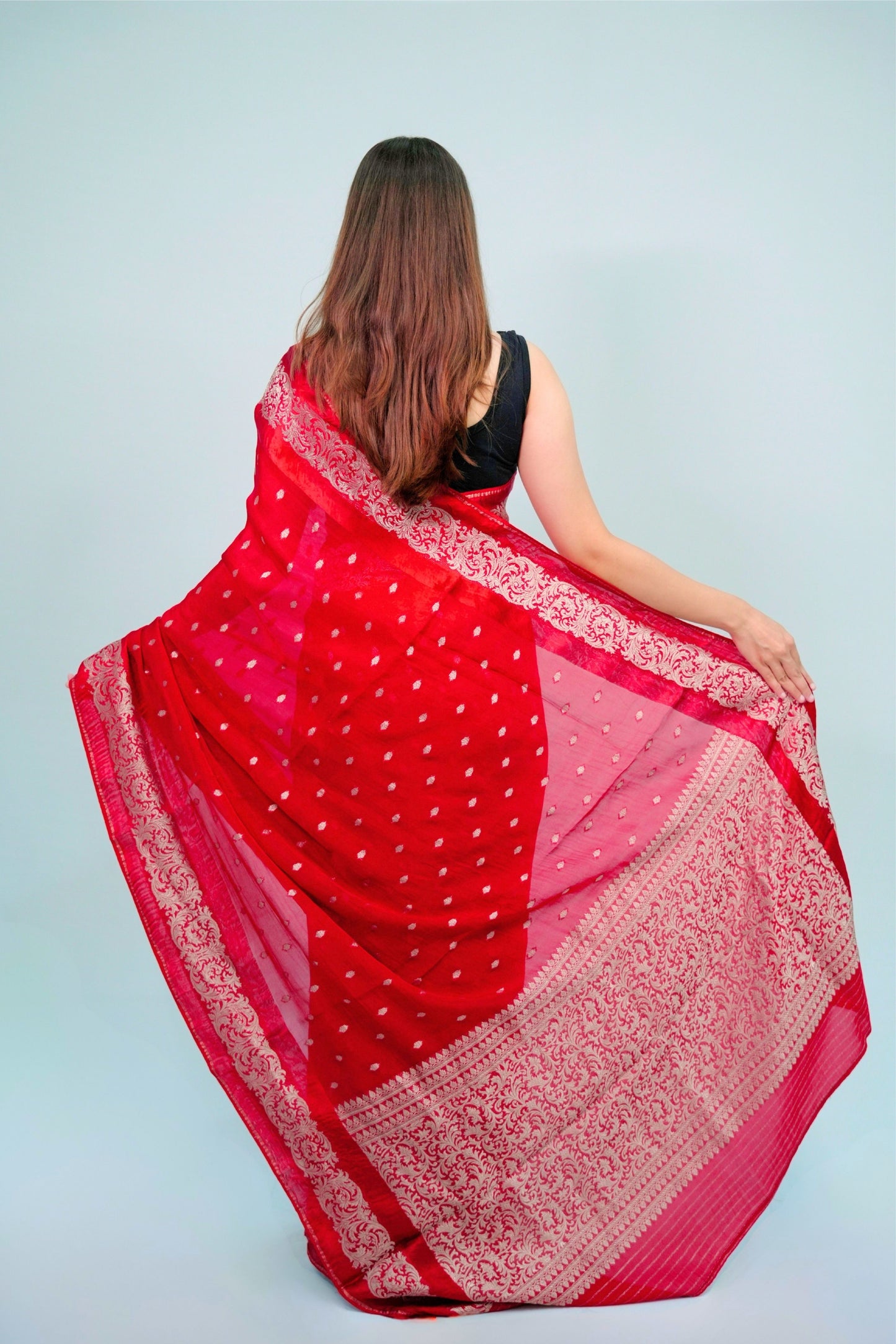 Banarsi Organza Saree