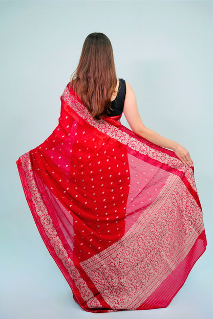 Banarsi Organza Saree