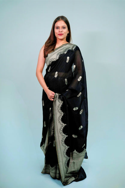 Banarsi Organza Saree