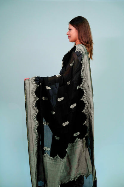 Banarsi Organza Saree