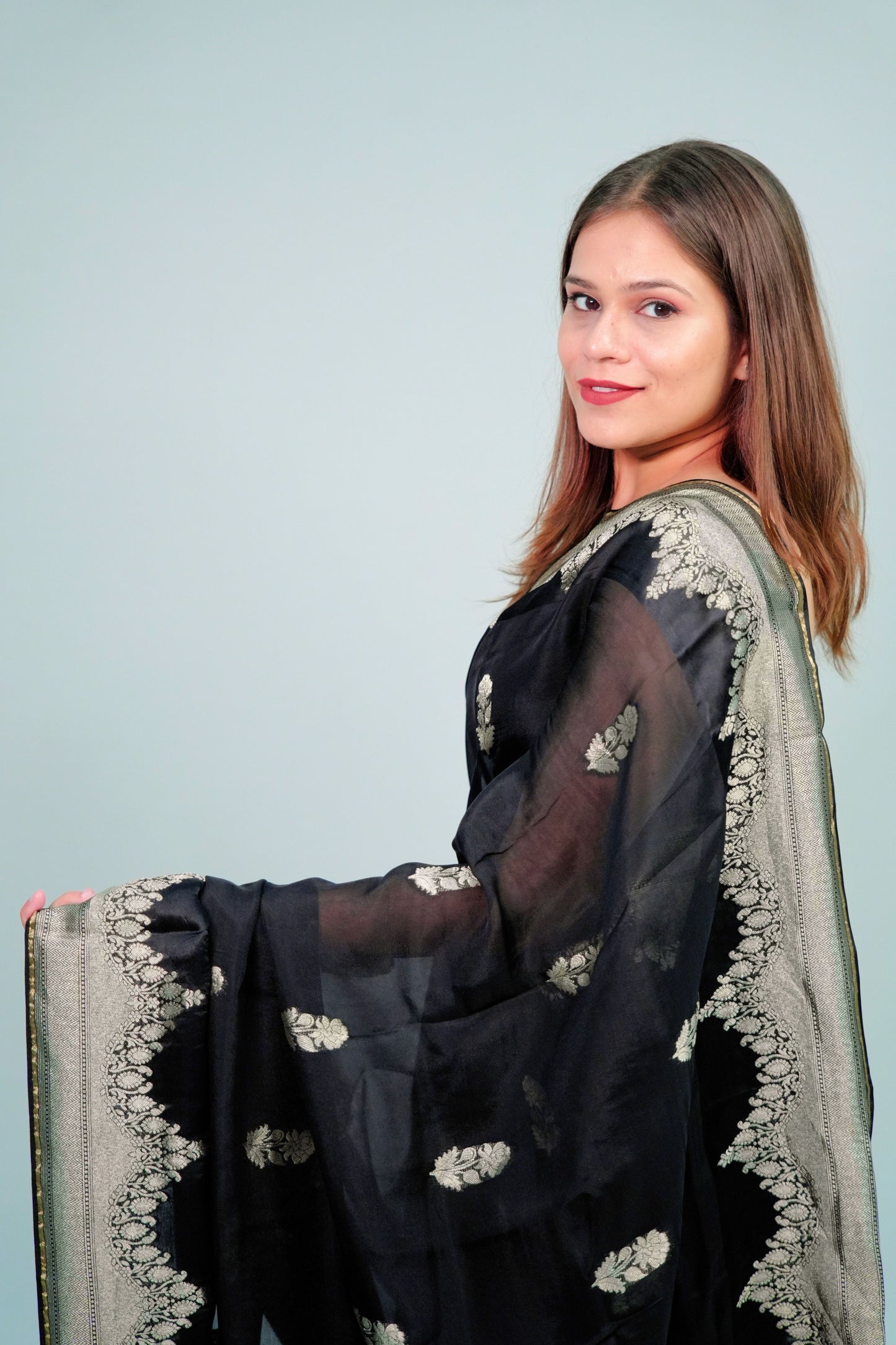 Banarsi Organza Saree