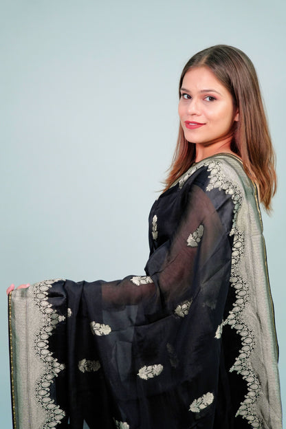 Banarsi Organza Saree