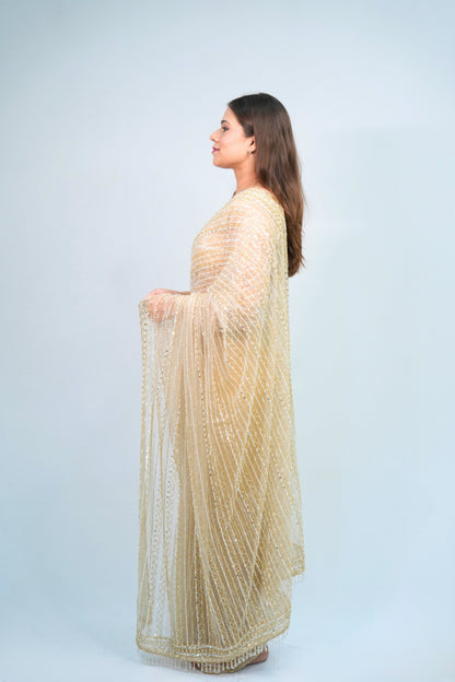 Designer Net Saree