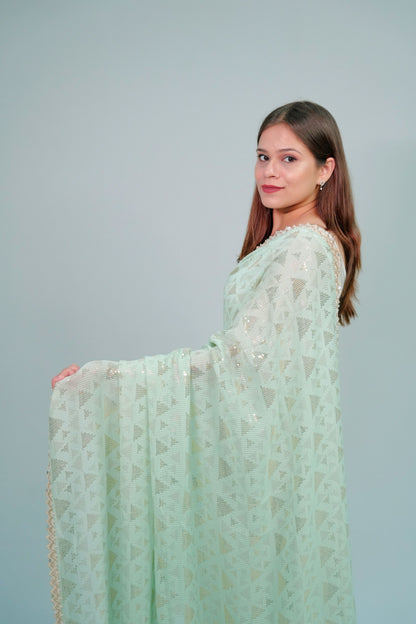 Designer georgette sequnce work saree