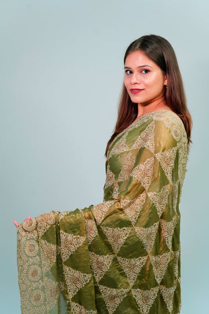 Organza dabka stone work