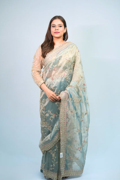 Tissue Hand Embroidered saree