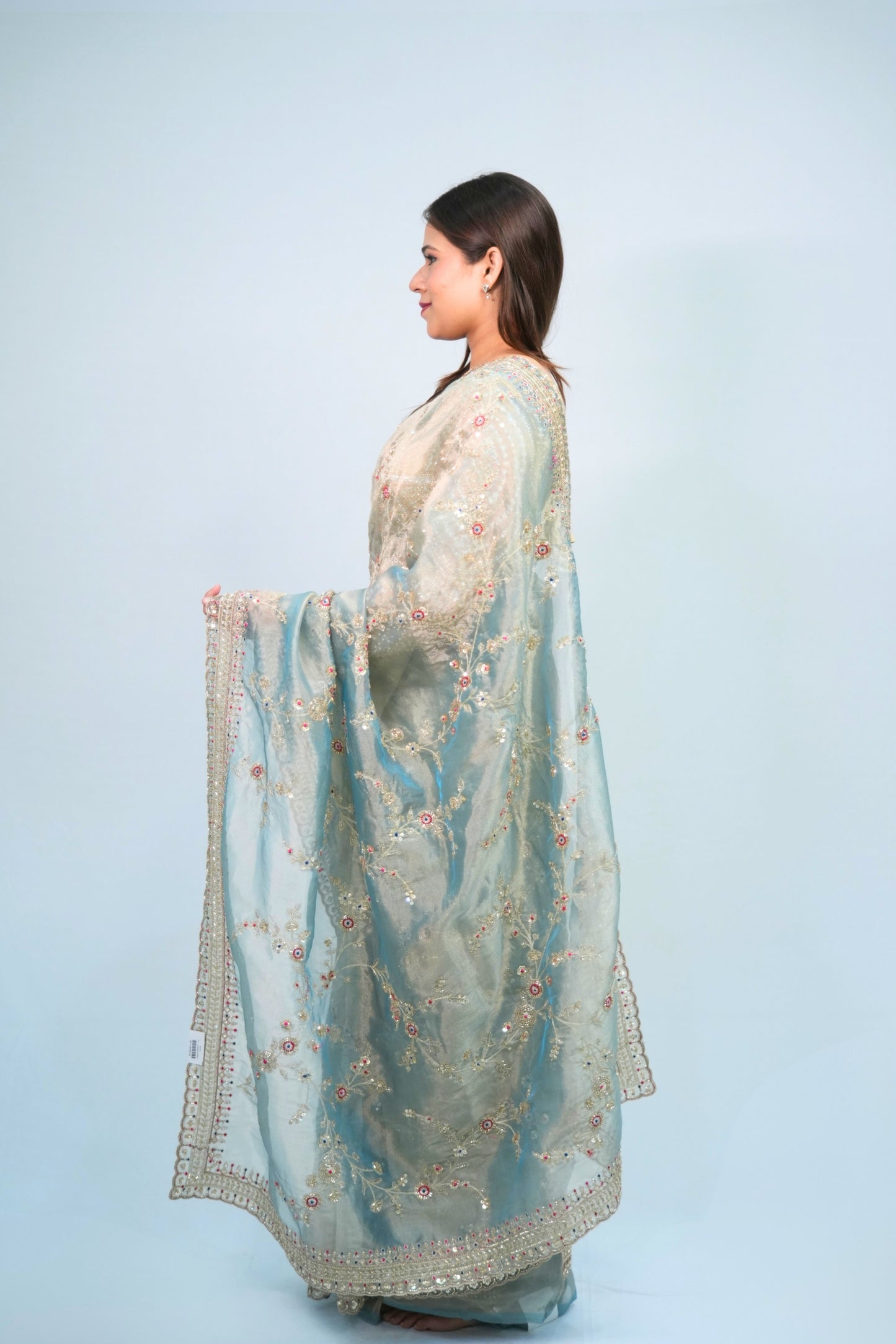Tissue Hand Embroidered saree