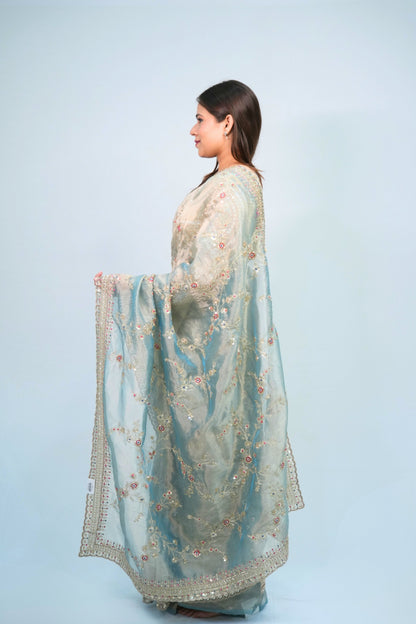 Tissue Hand Embroidered saree