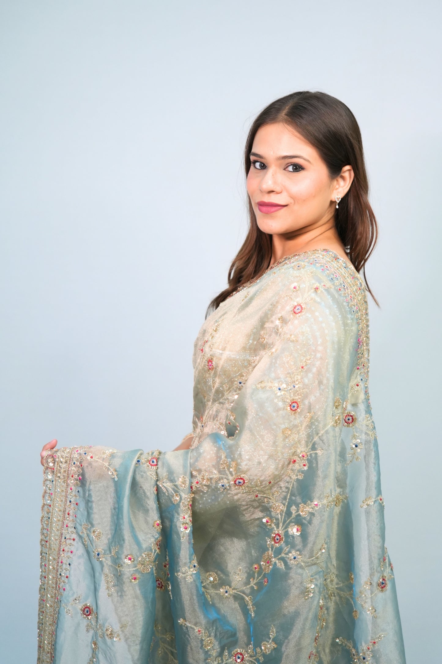 Tissue Hand Embroidered saree