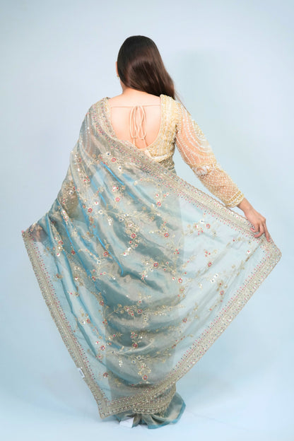 Tissue Hand Embroidered saree