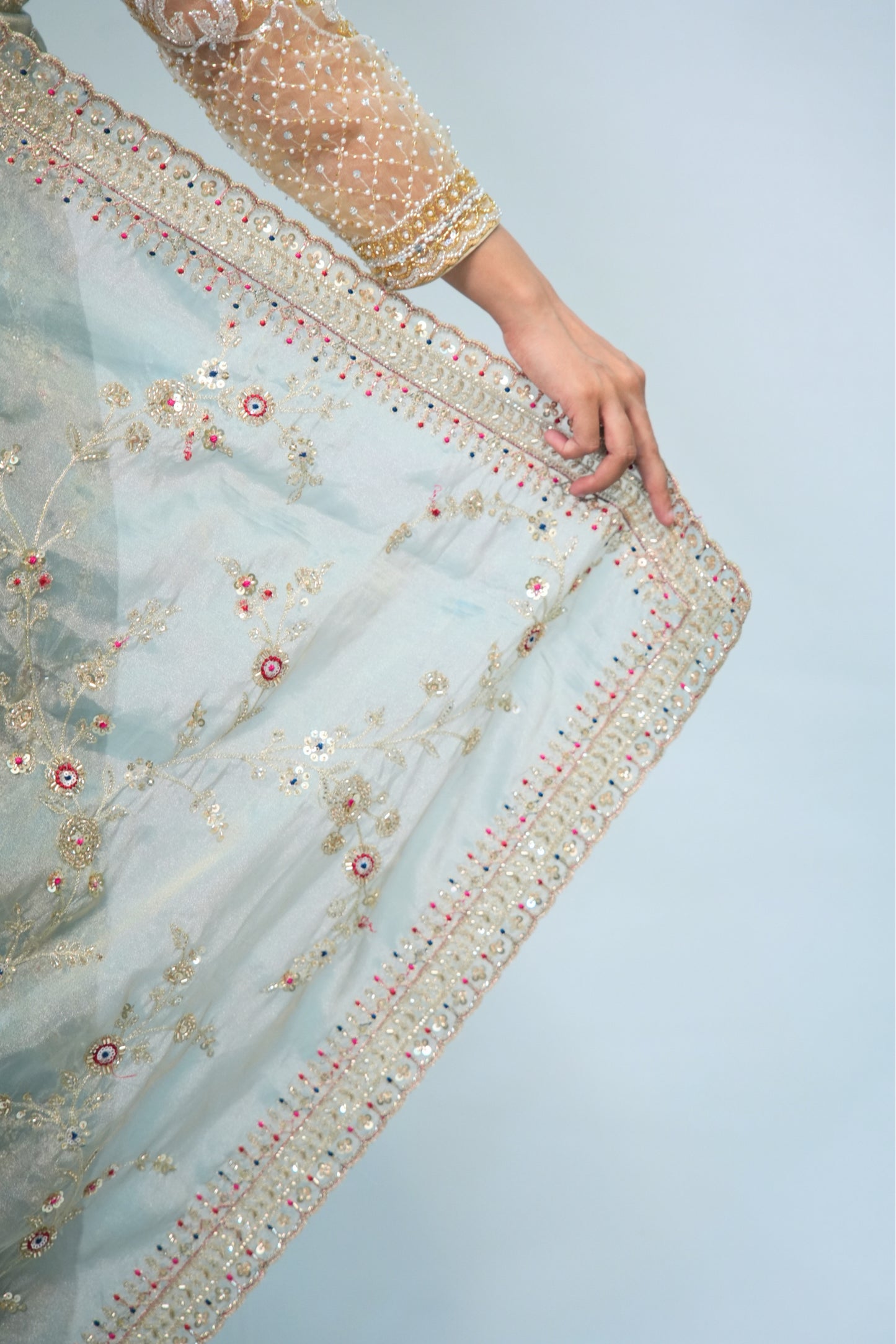 Tissue Hand Embroidered saree