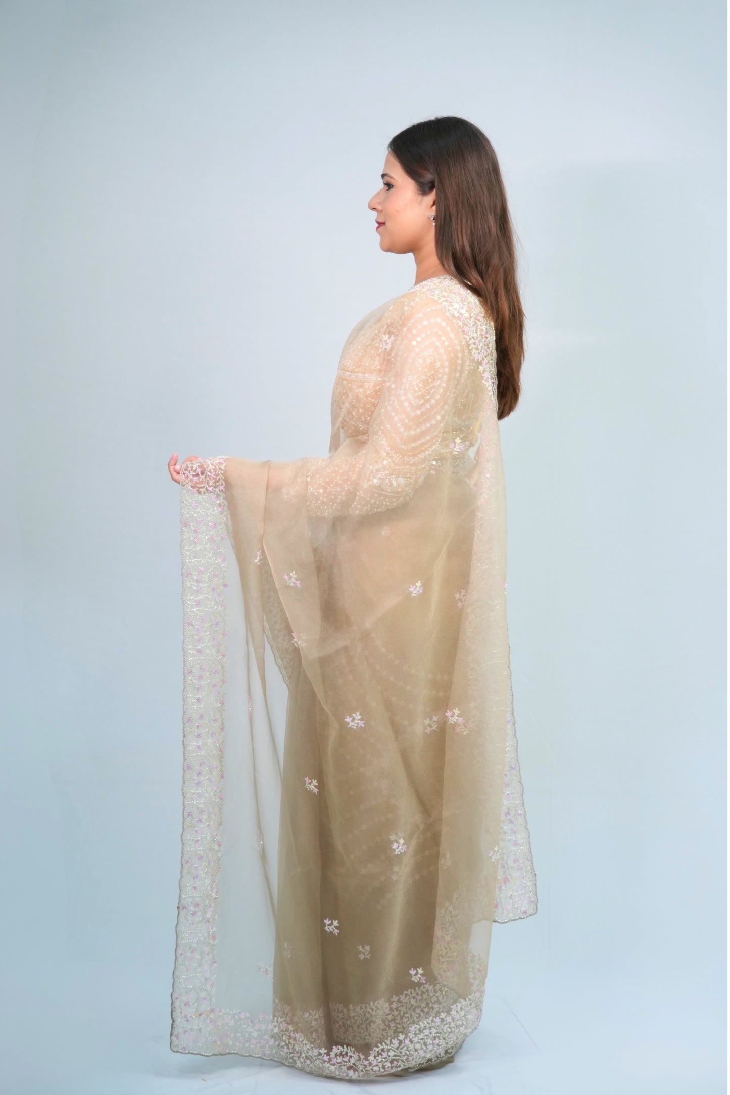 Tissue Hand Embroidered saree