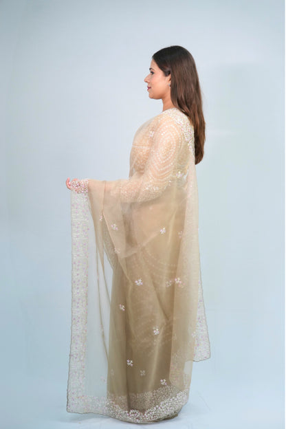 Tissue Hand Embroidered saree