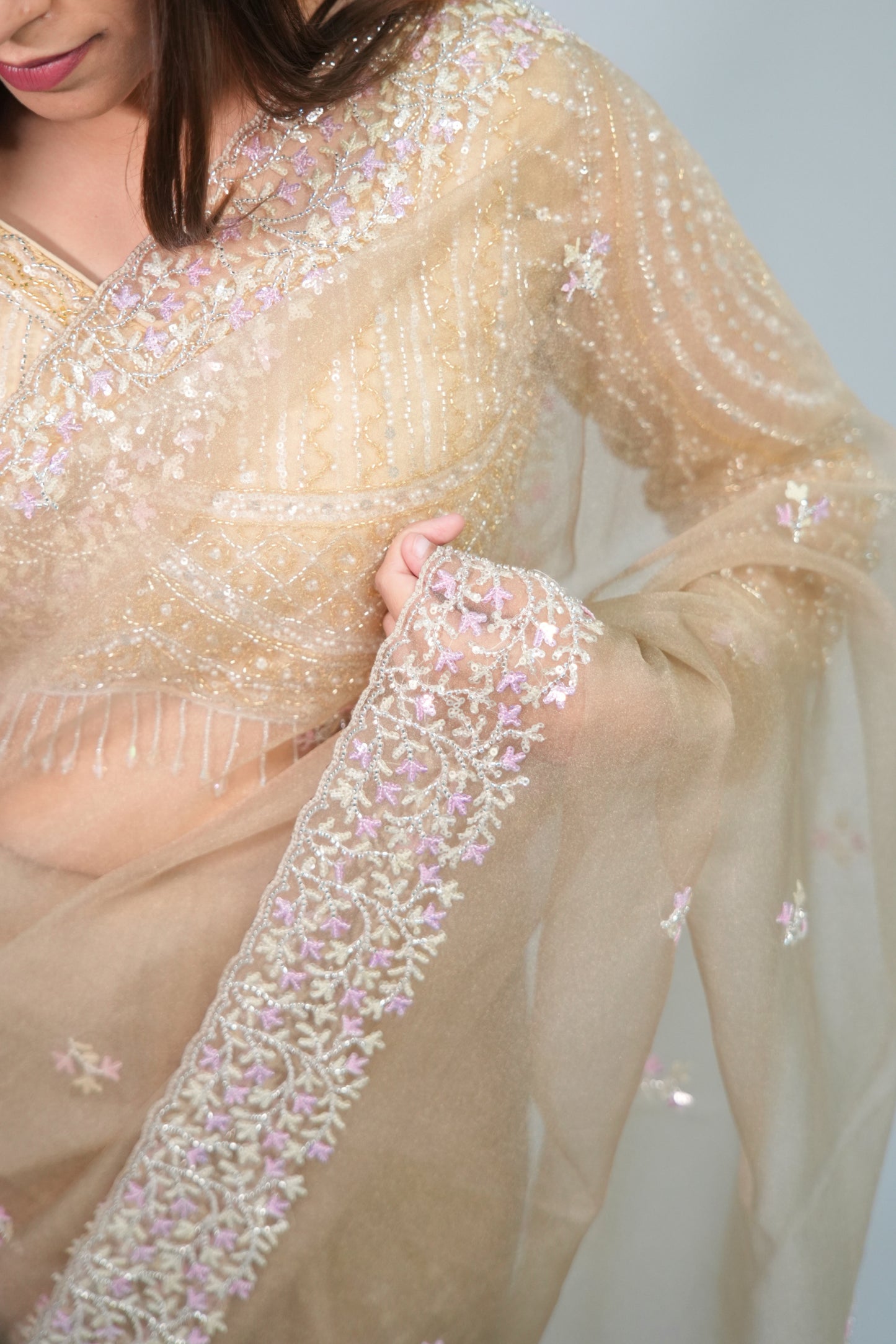 Tissue Hand Embroidered saree