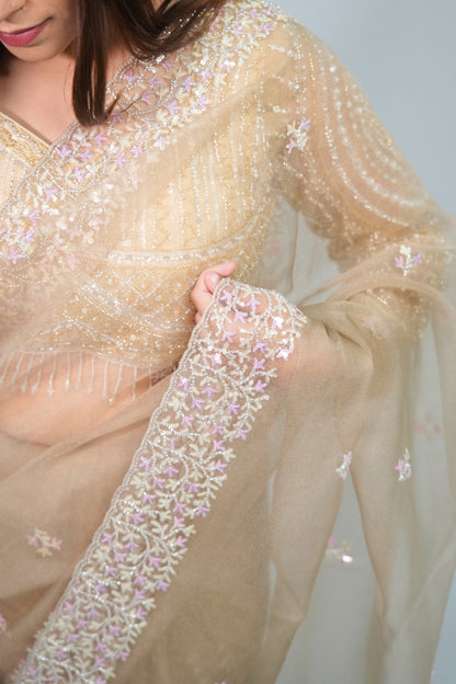 Tissue Hand Embroidered saree