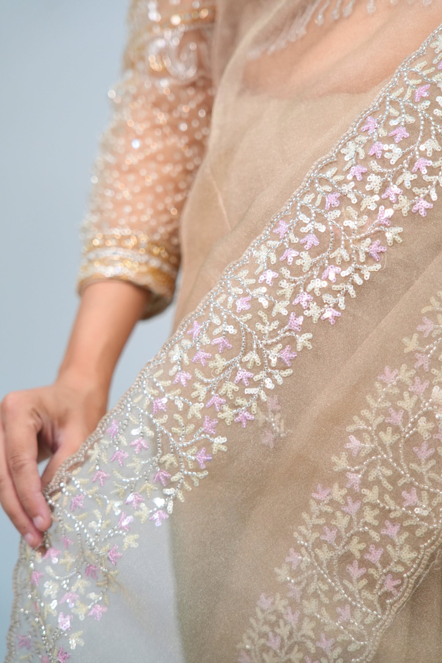 Tissue Hand Embroidered saree