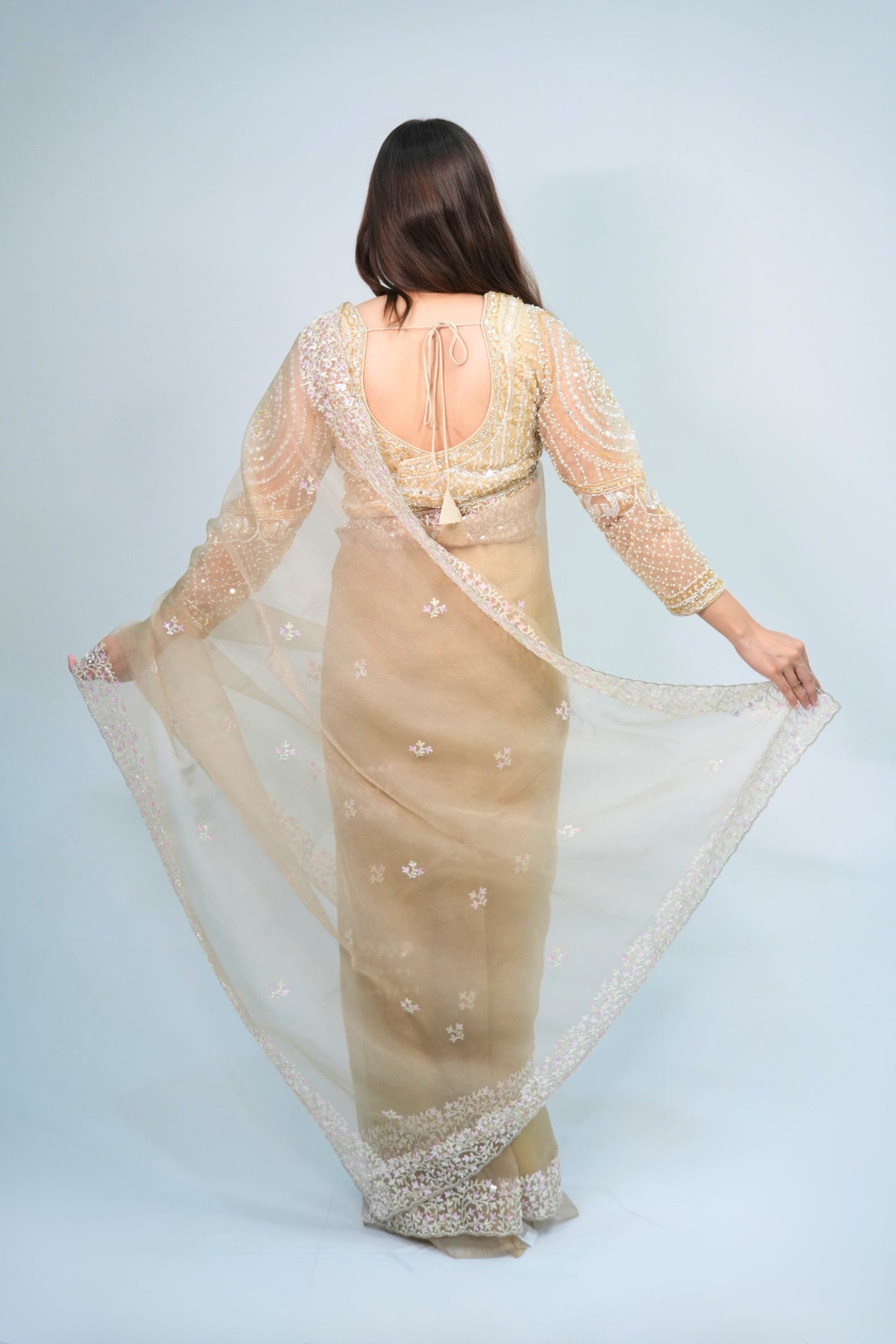 Tissue Hand Embroidered saree