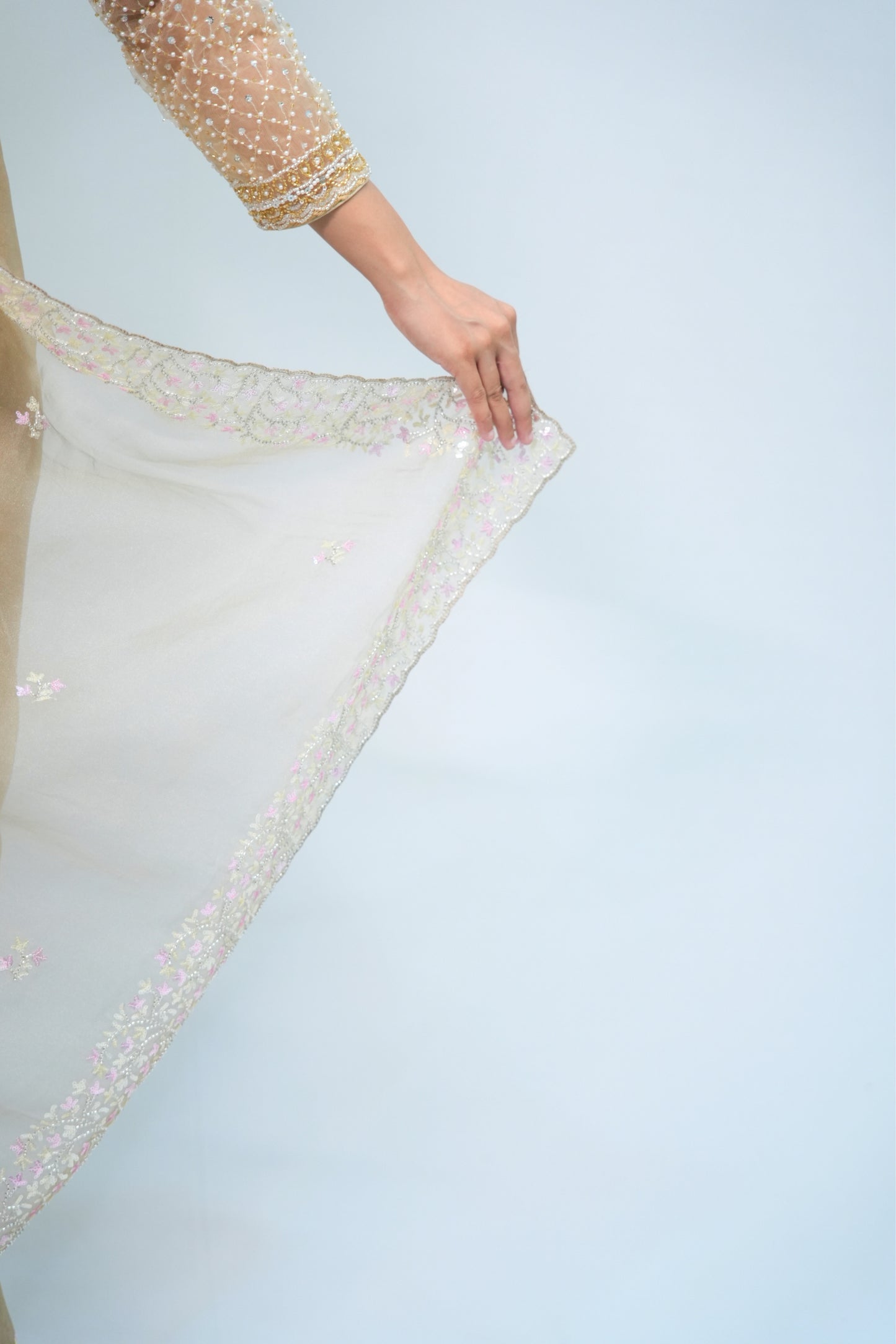 Tissue Hand Embroidered saree
