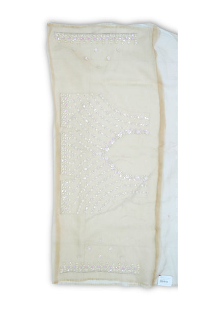 Tissue Hand Embroidered saree