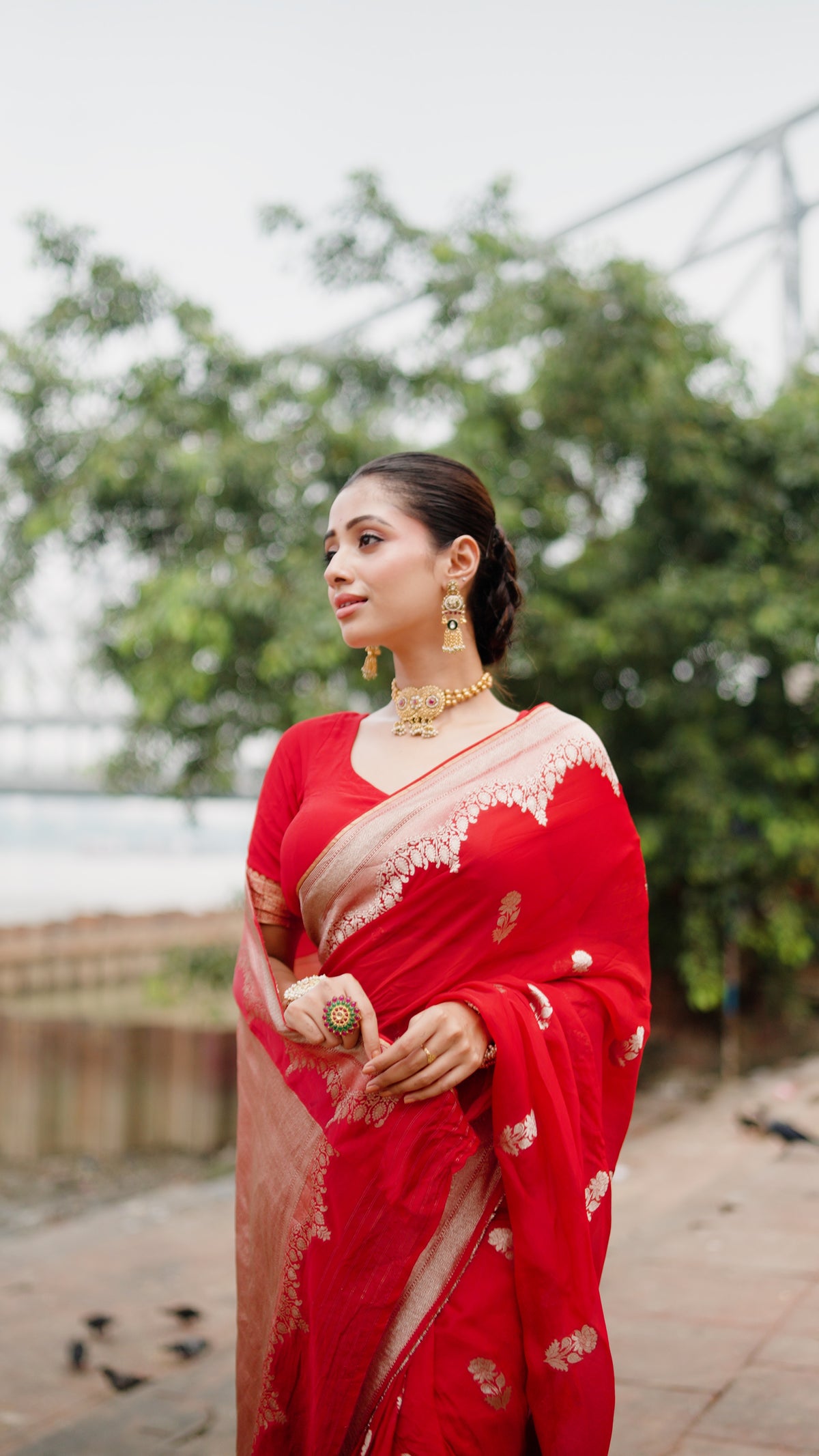 BANARSI ORGANZA SAREE