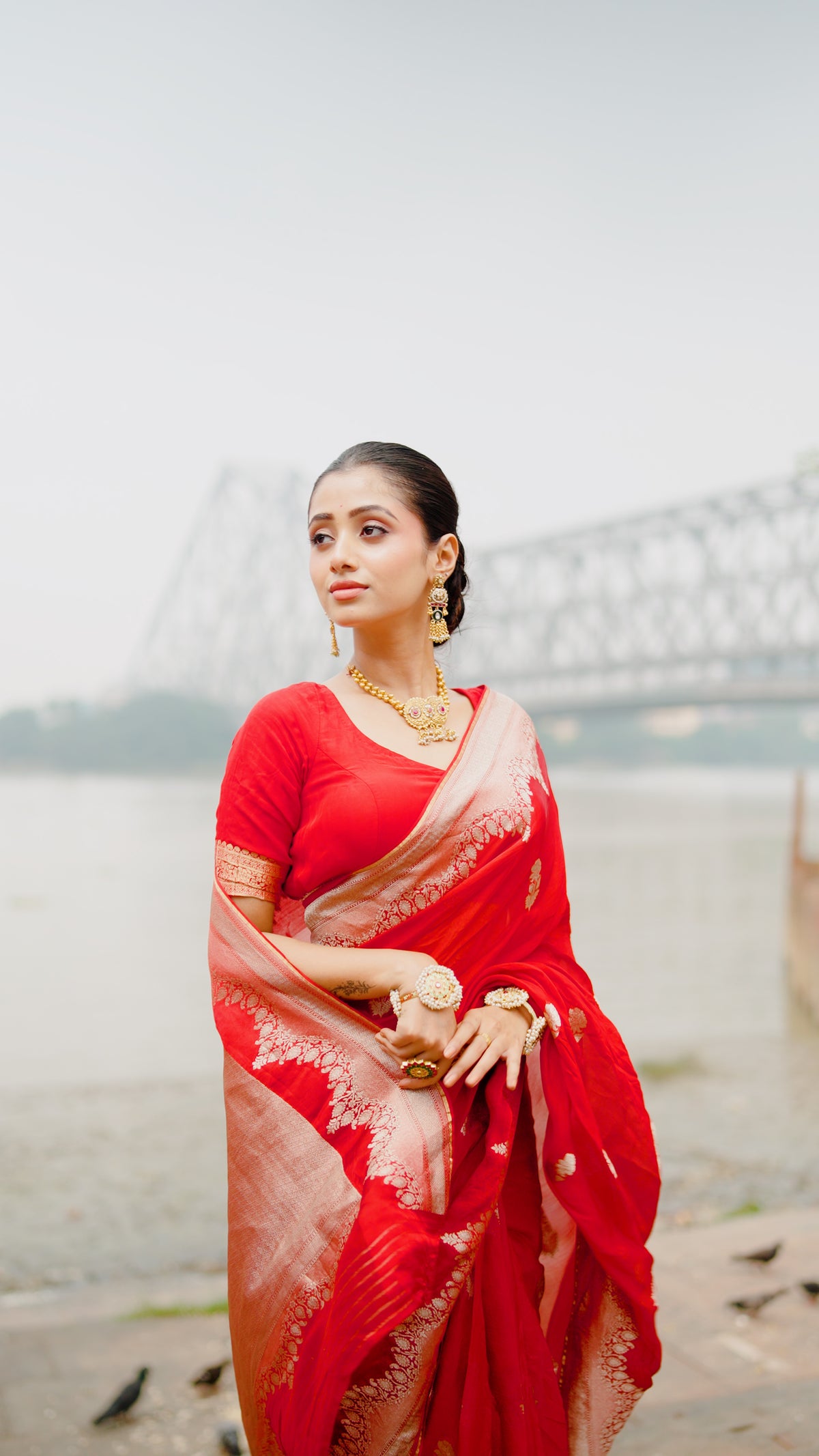 BANARSI ORGANZA SAREE