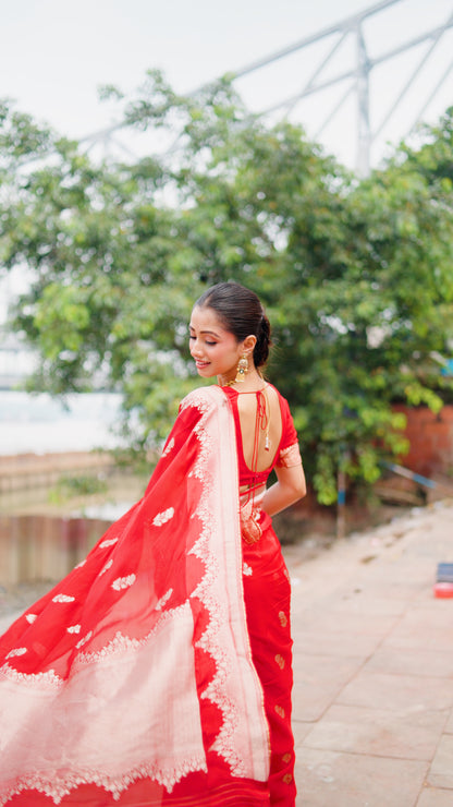 BANARSI ORGANZA SAREE