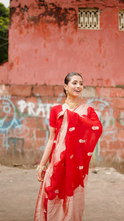 BANARSI ORGANZA SAREE