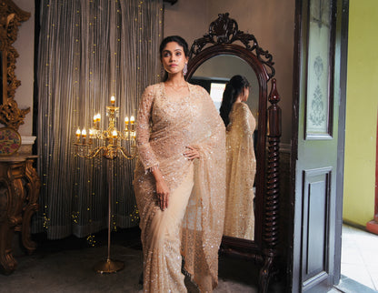 DESIGNER NET SAREE