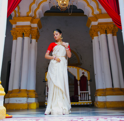 TISSUE SILK SAREE